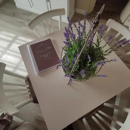 Apartment Borgo In Citta Pistoia