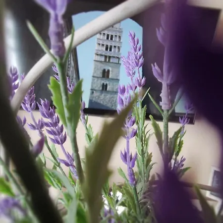 Apartment Borgo In Citta Pistoia